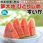  Kumamoto производство ...3L размер 2.5kg×3 шар входить ( всего 7.5kg) арбуз маленький шар сон большой земля ..... Kumamoto префектура производство запад . подарок фрукты фрукты подарок на Bon Festival подарок подарок площадь 