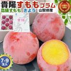  подарок на Bon Festival подарок sumomo слива ... для Yamanashi префектура производство ..1 коробка 7-9 шар входить .. для ... высококлассный фрукты редкий фрукты . предмет подарок подарок на Bon Festival подарок площадь 