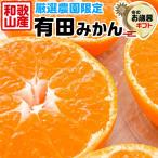 ショッピングみかん 有田みかん みかん 和歌山県 有田みかん 訳あり 5kg サイズ混合 家庭用 お買い得品 ギフト広場