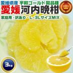 愛媛 河内晩柑 3kg 訳あ