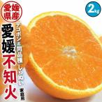 ショッピングデコポン 不知火 家庭用 柑橘 みかん 2kg 愛媛県産 M-4L サイズ混合 デコポン と 同品種 ギフト広場