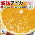 みかん 愛媛県産 愛果まどんな 訳あり 5kg 厳選農園限定 サイズ混合 家庭用  お歳暮　クリスマス 紅まどんな 愛媛まどんな 同品種 愛媛果試第28号 ギフト広場