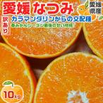 なつみ カラマンダリン みかん 訳あり 10kg 1箱 愛媛県産 S-Lサイズ混合 シーズン最後の甘い系みかん 家庭用 自宅用 フルーツ ギフト広場
