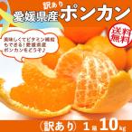 ポンカン 訳あり 10kg 愛媛県産 M-2L サイズ混合 家庭用 高糖度 みかん 柑橘 お取り寄せ フルーツ 果物 アウトレット  ギフト広場