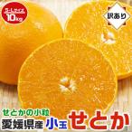 せとか みかん 訳あり 家庭用 小玉 2S〜Mサイズ 合計 10kg 5kg箱×2箱 お買得 愛媛県産  フルーツ 果物 デザート ギフト広場