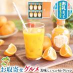 ギフト 早和果樹園 有田みかん ジュース「味まろしぼり」(6本) ●味まろしぼり180ml×6 みかんジュース プレゼント お中元 敬老の日 お礼 ギフト広場