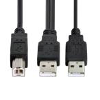 cablecc двойной USB 2.0 мужской - стандарт B мужской Y кабель 80cm принтер &amp; сканер &amp; установленный снаружи HDD кабель CC для 
