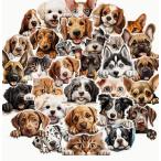 覗き込む猫 犬 ステッカー10枚セット ノートパソコンや水筒に スマホ ランダム発送
