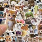 猫 面白 ステッカー10枚セット ノートパソコンや水筒に スマホ ランダム発送
