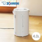 象印 加湿器 EE-DF50 WA ホワイト 4.0L 同梱不可 スチーム式