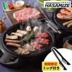 期間限定 ティファール エピス トング 付き エムケー精工 両面焼きホットプレート HASAMIZE ハサマイズ TK-H315K 両面 同梱不可 ZIP! マツコの知らない世界