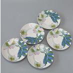 デザート皿 5枚セット 小皿 ウィンター クリスマスローズ 冬の花