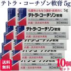 指定第2類医薬品 10個セット 伊丹製