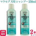 2個セット キリカン洋行 マラセブ 犬用シャンプー 250ml 皮膚病 動物用医薬品