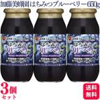 3個セット 加藤美蜂園本舗 はちみつブルーベリー 650g ハニー はちみつ ブルーベリー