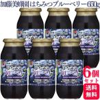 ショッピングはちみつ 6個セット 加藤美蜂園本舗 はちみつブルーベリー 650g ハニー はちみつ ブルーベリー