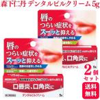 指定第2類医薬品 2個セット 森下仁丹 メディケア デンタルピルクリーム 5g 口唇炎 口角炎