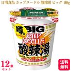 ショッピングごま油 送料無料 12個セット 日清 カップヌードル 酸辣湯 ビッグ 98g ケース カップラーメン インスタントラーメン スーラータン サンラータン カップ麺