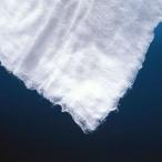 脱脂綿500g 20包セット