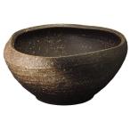 信楽焼窯変めだか鉢めだか鉢