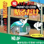 ハトよけ貼るだけ（40cc×3）6個セット‐鳥害対策 鳩よけ対策 鳩除け 鳩対策 鳩撃退 ハトよけ  ...