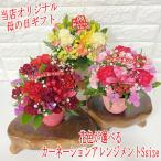 2025 母の日 ギフト 花色が選べる 母の日 カーネーションアレンジ Ssize