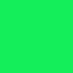 Fluorescent Green - SISER EasyWeed Heat Transfer Vinyl HTV for T-Shi 並行輸入