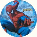 Amazing Spider-Man Lunch Plates 8ct by Hallmark Marketing Corporatio 並行輸入