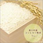 新米　令和5年度産　特別栽培米 5kg　白米　コシヒカリ 湯川村産　農家直送