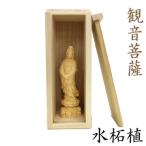 仏像 観音菩薩 立像 高さ12cm 水柘植 桐箱付き