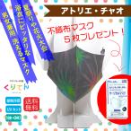 洗える 接触冷感  花火 デザイン ファッションマスク 国内産不織布マスク5枚付き