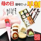 \早割 10%OFF/ 母の日 プレゼント ギフト 2025 お菓子 和菓子 花と スイーツ カーネーション 花 高級 送料無料 岐阜中津川 栗柿2個 栗きんとん2個 大福各1個
