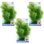 ジェックス 癒し水景 広がるカボンバ×3個セット