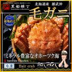  Hokkaido самец . производство четырёхугольный волосатый краб примерно 300g×2 хвост ( внезапный скорость рефрижератор ) [ прямая поставка от производителя ] краб краб шерсть ..... Новый год подарок на Bon Festival подарок по случаю конца года краб o сигнал tsuk Hokkaido 