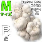 にんにく Mサイズ 玉 青森産 1キロ B級 ネット入り  福地ホワイト六片種 令和4年産