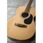 Legend FG-15 N(Natural) (入門用アコースティックギター)(初心者向け)(ソフトケース付属)(マンスリープレゼント)