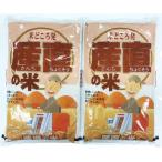 29年産 新米 宮崎産 夏の笑み 10キロ (＝5キロ2袋） 送料無料