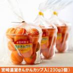 宮崎産 温室 きんかん （ 生 食用 ）2L230ｇ3個 産地直送  お試し 送料無料 （但し沖縄県その他一部の離島は1,080円別途かかります）