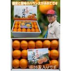 宅配便 宮崎産 みかん 「 ポンカン 」Mサイズ （36玉入）5キロ入 送料無料（沖縄県その他一部離島は別途料金）