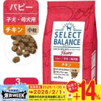 セレクトバランス パピー（子犬用） チキン 小粒 3kg