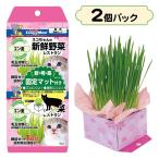 キャティーマン ネコちゃんの新鮮野菜レストラン 2個パック （猫草/キャットフード/猫用おやつ/猫のおやつ・猫のオヤツ・ねこのおやつ/猫用品/ペット用品）
