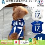 MLB официальный Los Angeles doja-s большой . sho flat игрок Model Pet для форма джерси M размер 