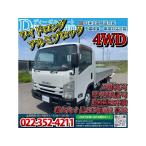 [ оплата общая сумма 1,680,000 иен ] б/у инвалидная коляска . Elf Wide Long flat . средний 4WD AT
