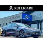 [ оплата общая сумма 2,699,000 иен ] б/у машина tesla модель 3