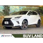 [ оплата общая сумма 3,850,000 иен ] б/у машина Lexus NX специальный выпуск 