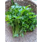 KURUMAYA-herb[ итальянская петрушка 300g] свежий трава Nagano префектура доверие . блок . хвост гора культивирование период пестициды не использование нет .. аромат .. салат суп итальянская кухня 