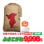 お米 10kg 送料無料-商品画像