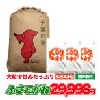 ふさこがね 30kg 令和6年産 米 お米 玄米食でも安心の選別済 玄米 白米 精米 残留農薬検査済 残留農薬不検出 コメ 千葉県産 精米無料 送料無料