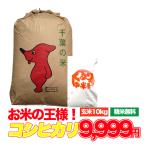 ショッピング米 10kg 送料無料 米 10kg お米 コシヒカリ 玄米食でも安心の選別済 令和5年産 玄米 白米 8.8kg 精米  残留農薬検査済 残留農薬不検出 コメ 千葉県産 精米無料 送料無料