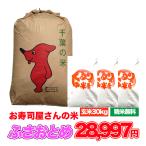 米 30kg お米 ふさおと